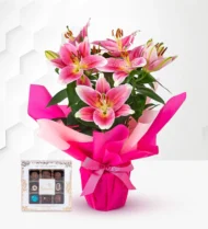 Lovely Lily Gift - Buy Beautiful Anniversary Wedding Gifts